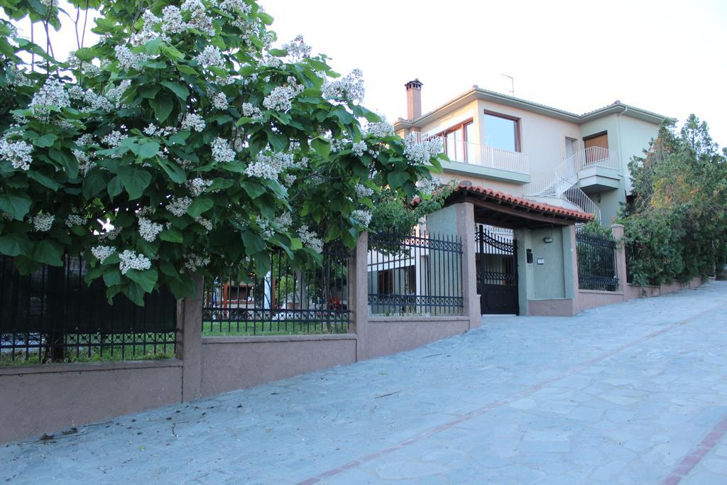 Pinehouse King Suite Nikiti  Zewnętrze zdjęcie